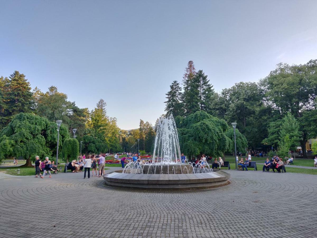 Hotel Fontana Vrnjačka Banja Dış mekan fotoğraf